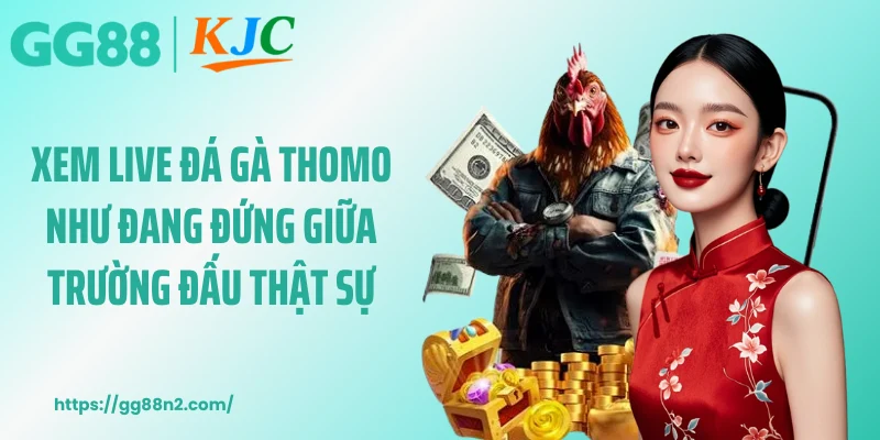 Xem live đá gà thomo như đang đứng giữa trường đấu thật sự